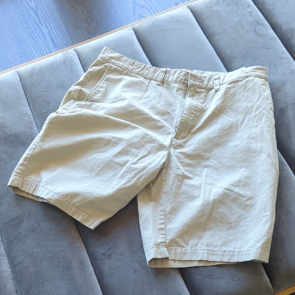 Men's Patagonia Organic Cotton Tan Shorts